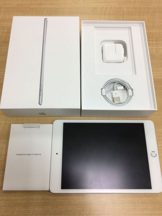 iPadmini (1)