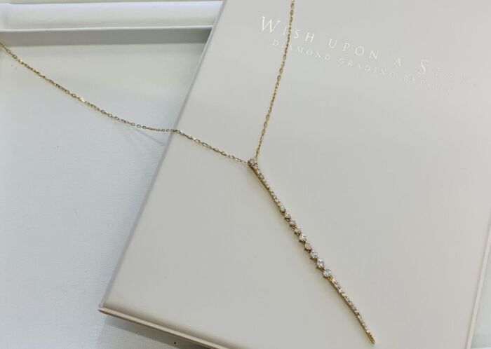 9E79E9EB-F239-46FF-8A0D-3EE9559E3838