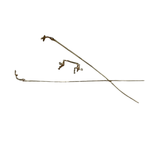 IMG_6300-removebg-preview