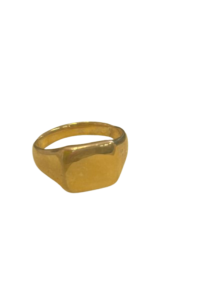 IMG_6518-removebg-preview