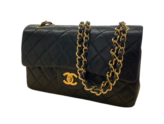 IMG_7159-removebg-preview