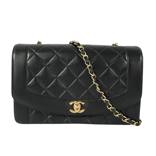 photo0-removebg-preview