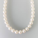 61c8c8725fbc4e92528d8761d835ab67