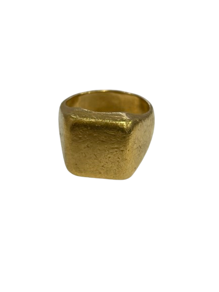 IMG_6769-removebg-preview