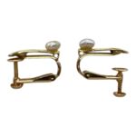 Photoroom_20251009_131000