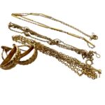 Photoroom_20251030_143248