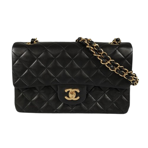 photo0-removebg-preview-1-1