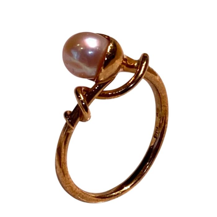 5aa8e1caff046fda4a09cd182341cb42