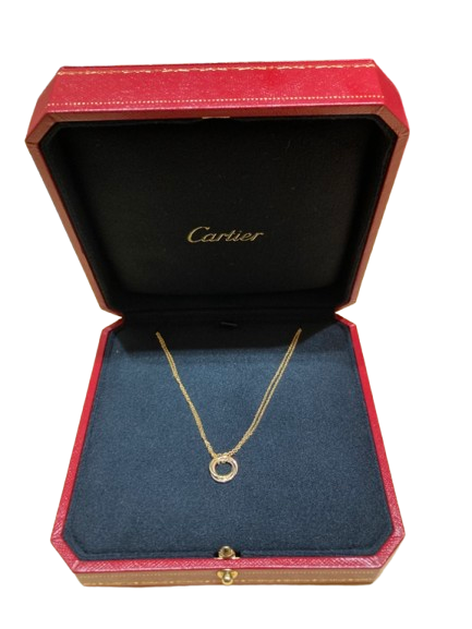 IMG_3773-removebg-preview