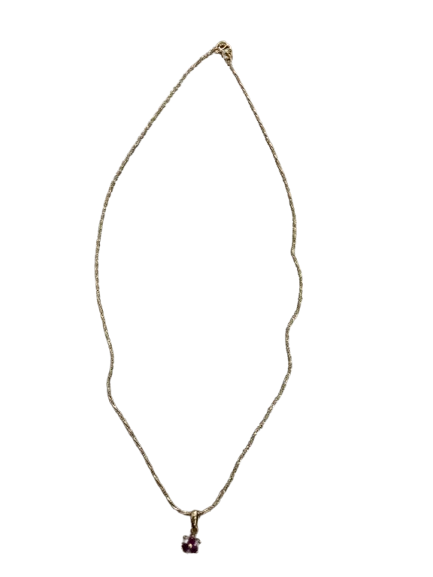 IMG_8556-removebg-preview