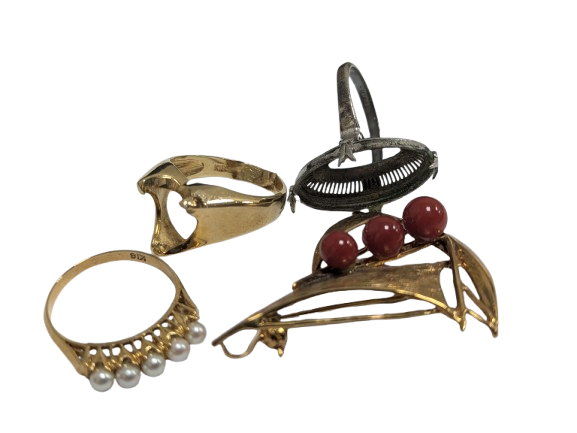 PXL_20251127_071425824-removebg-preview