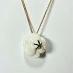 Photoroom_20251126_130436