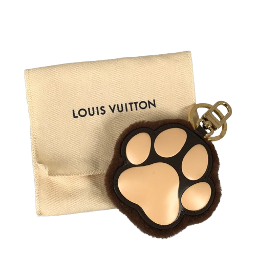 photo8-removebg-preview