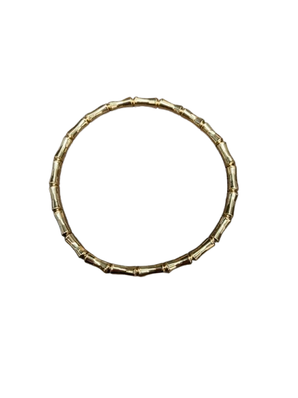 IMG_0359-removebg-preview