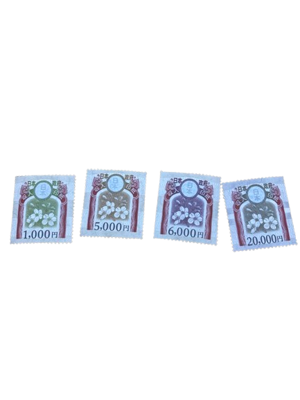 IMG_8824-removebg-preview