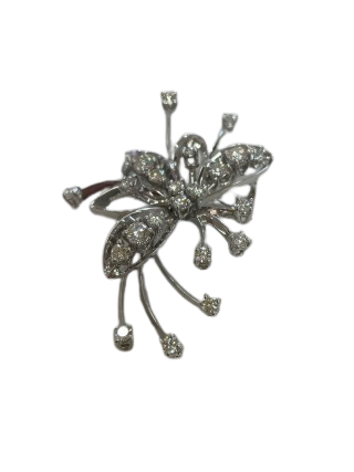 w320_180-removebg-preview (20)