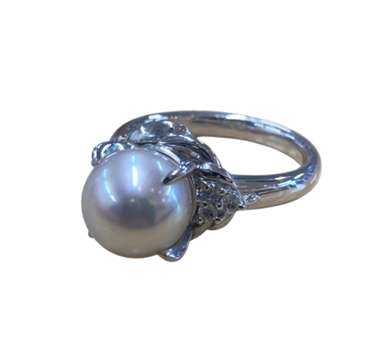 IMG_9642-removebg-preview-1