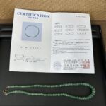 ca66e421ed4bc3f046cd260e38915993