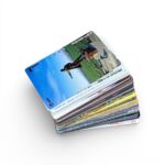 cfa0e6cdeaf3901ebcd5e391fab6adeb