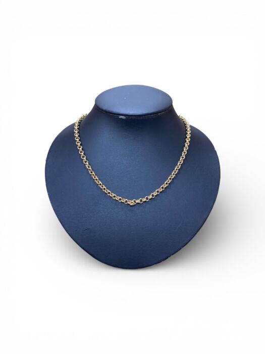 Photoroom_20260214_132526