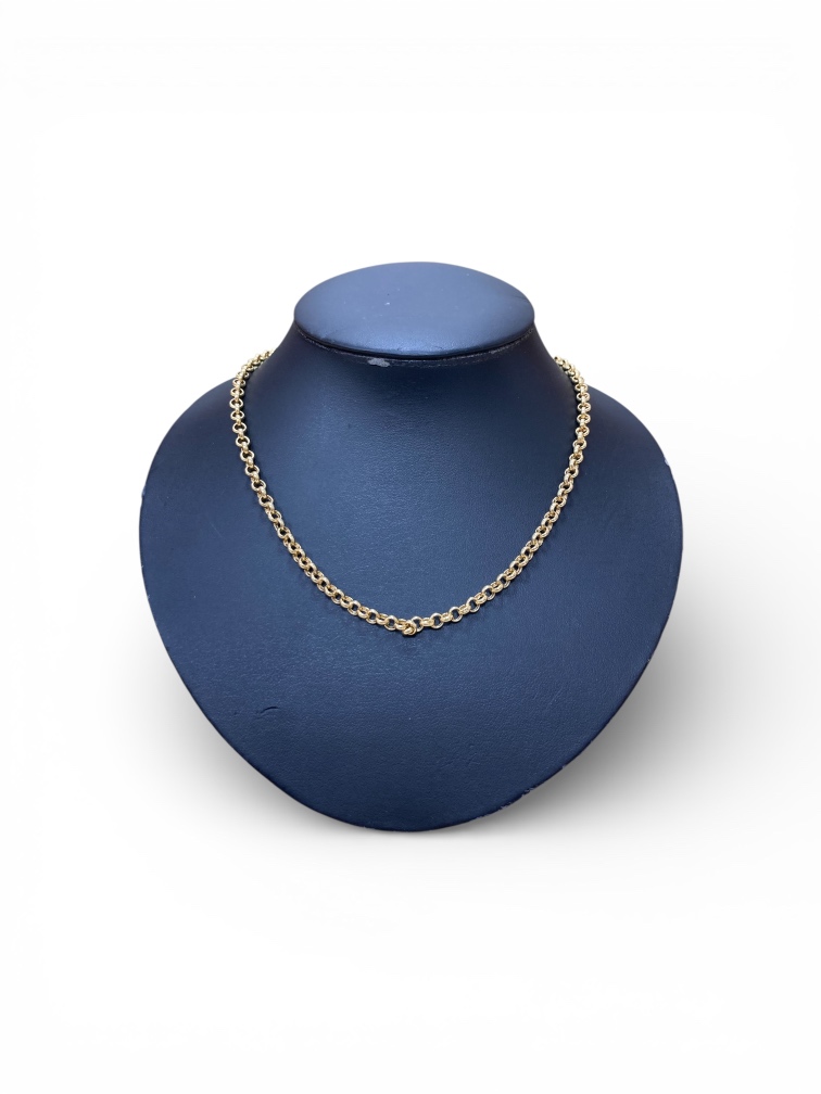 Photoroom_20260214_132526