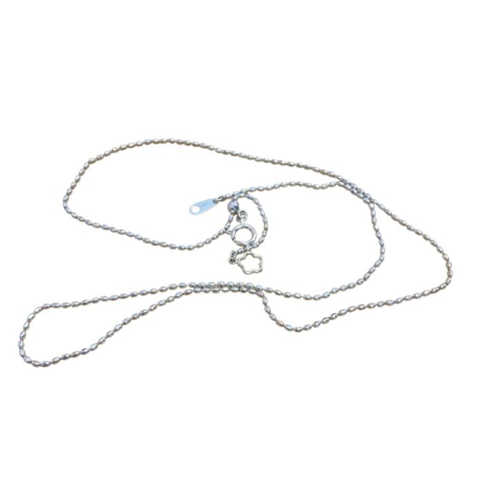 Photoroom_20260219_165904