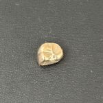 2c6a0f30c9ee3b58d902e7eca2329273