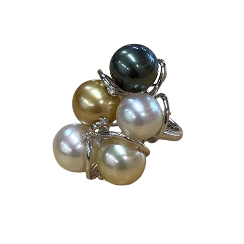 IMG_0853-removebg-preview