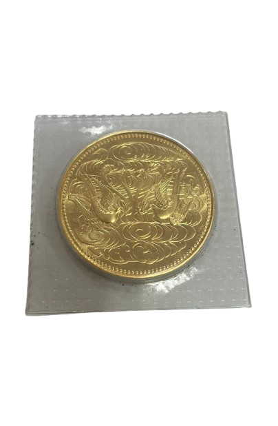 IMG_7687-removebg-preview