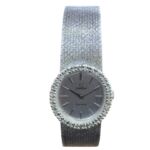 Photoroom_20260326_104747 (1)