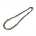 3f42023c2f464a9f7fbea92cf5ea7ed9