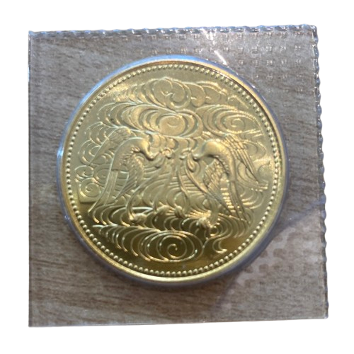 IMG_1185-removebg-preview