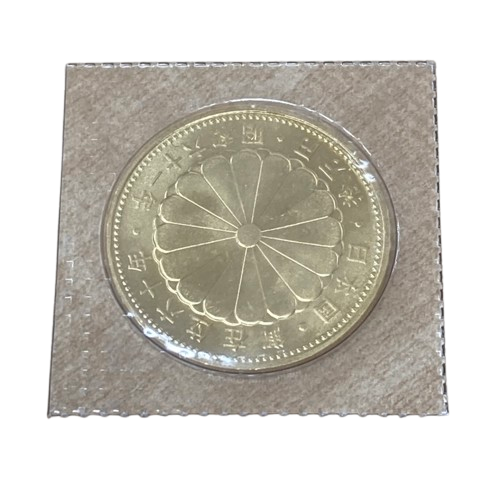 IMG_1221-removebg-preview