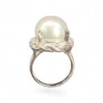 Photoroom_20260410_122146