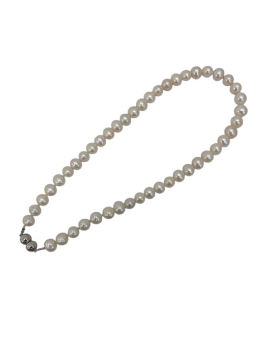 Photoroom_20260422_180913