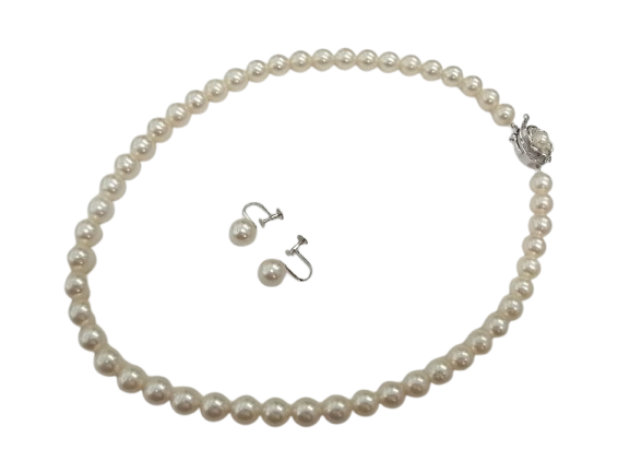 RIMG0230-removebg-preview