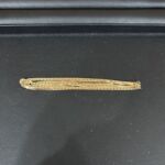 f857562b45f8c6c754f028fd4846f955