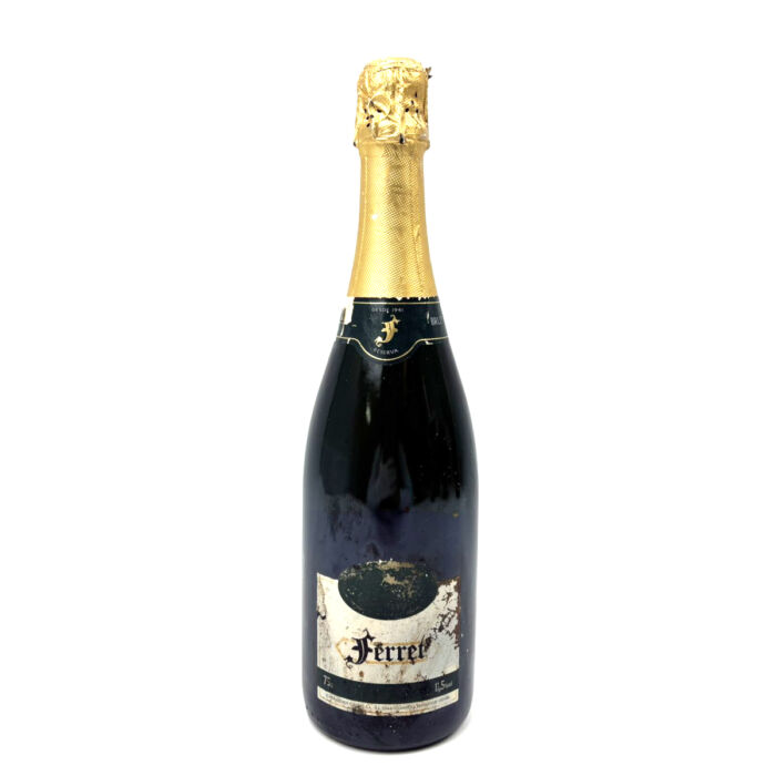 フェレット スパークリングワイン Ferret 11.5% 750ml スぺイン 買100